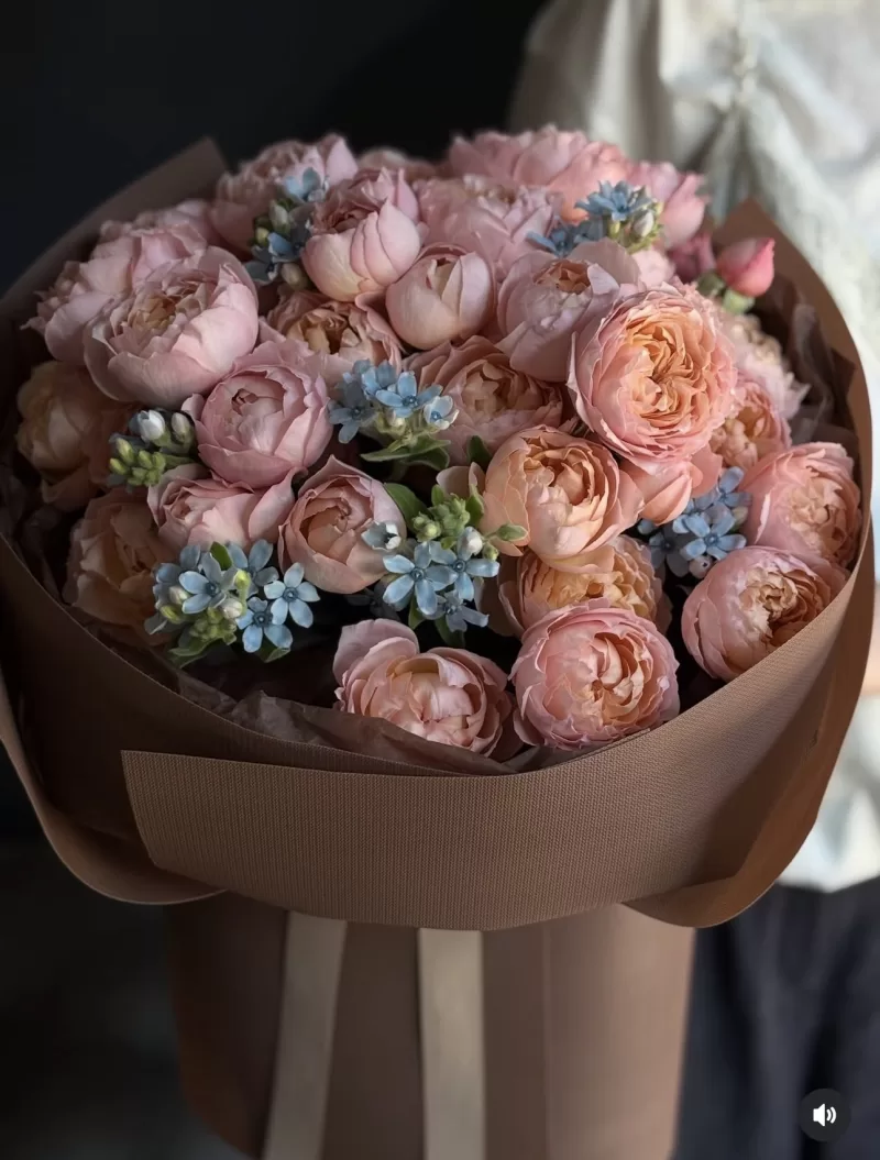 Garden Julietta Roses